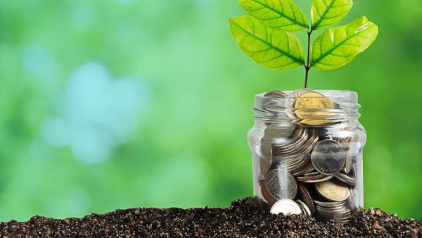 Про Всеукраїнське тестування з фінансової грамотності